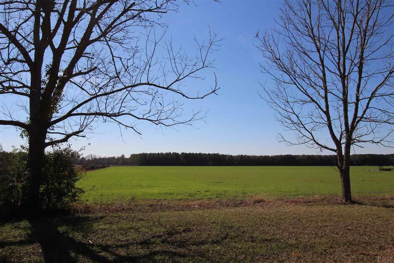 0 Hwy 182 Jay Milton, FL 32571 - Photo 8 of 14