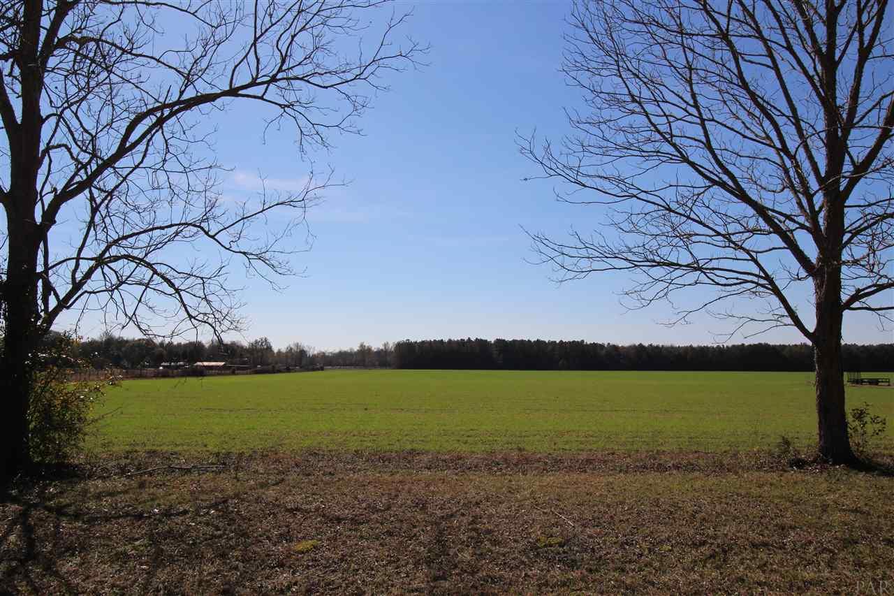 0 Hwy 182 Jay Milton, FL 32571 - Photo 9 of 14