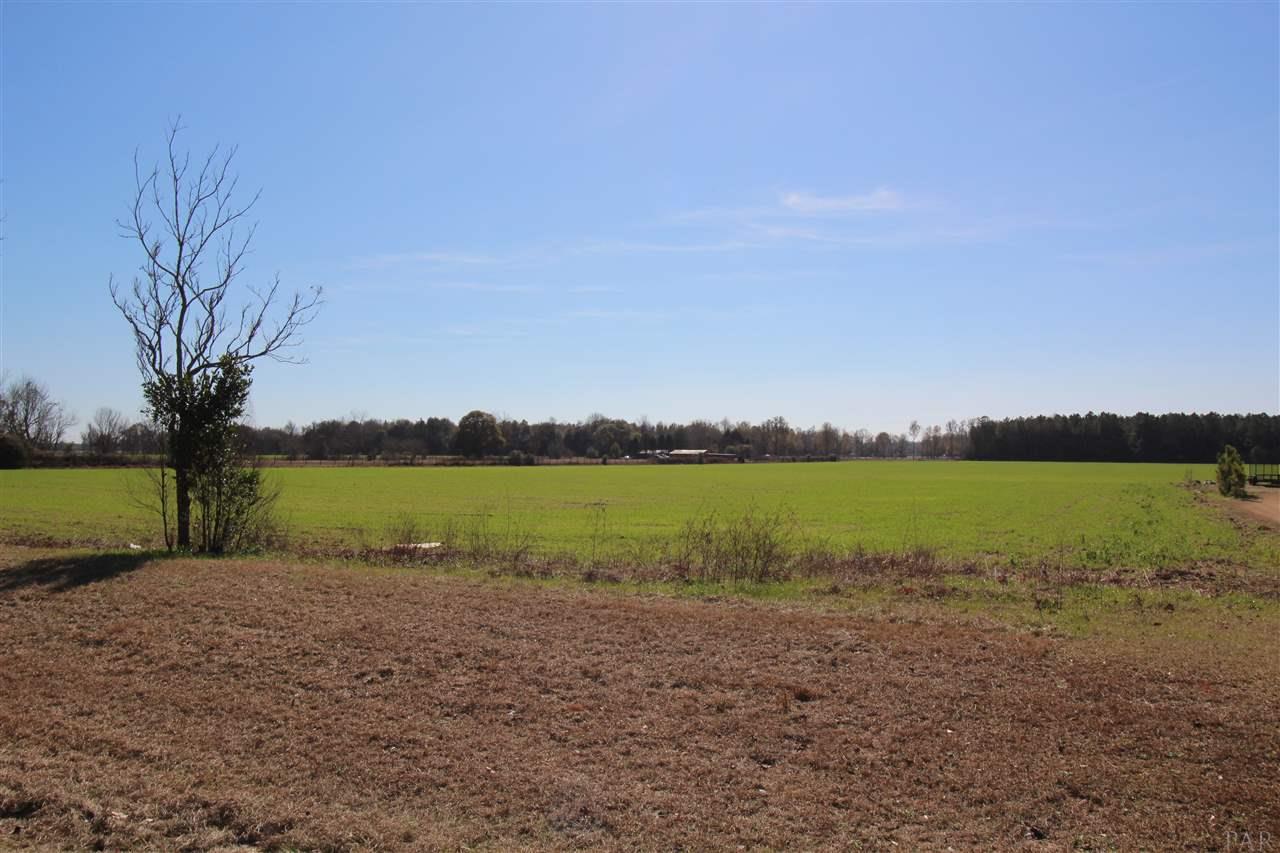 0 Hwy 182 Jay Milton, FL 32571 - Photo 10 of 14