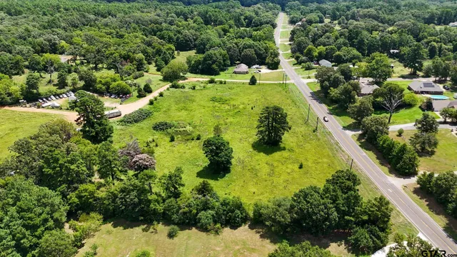 a view of a garden with plants