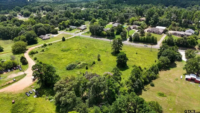 a view of a garden with plants