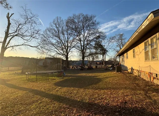 a view of a street with a large tree