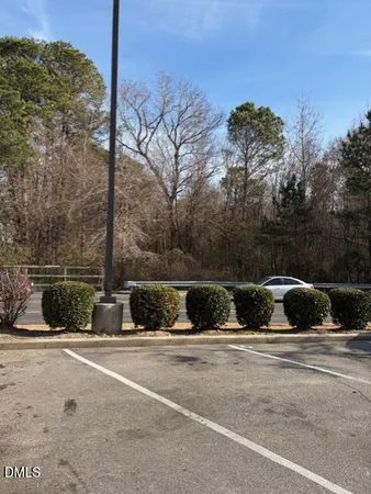 a view of street with flower plants