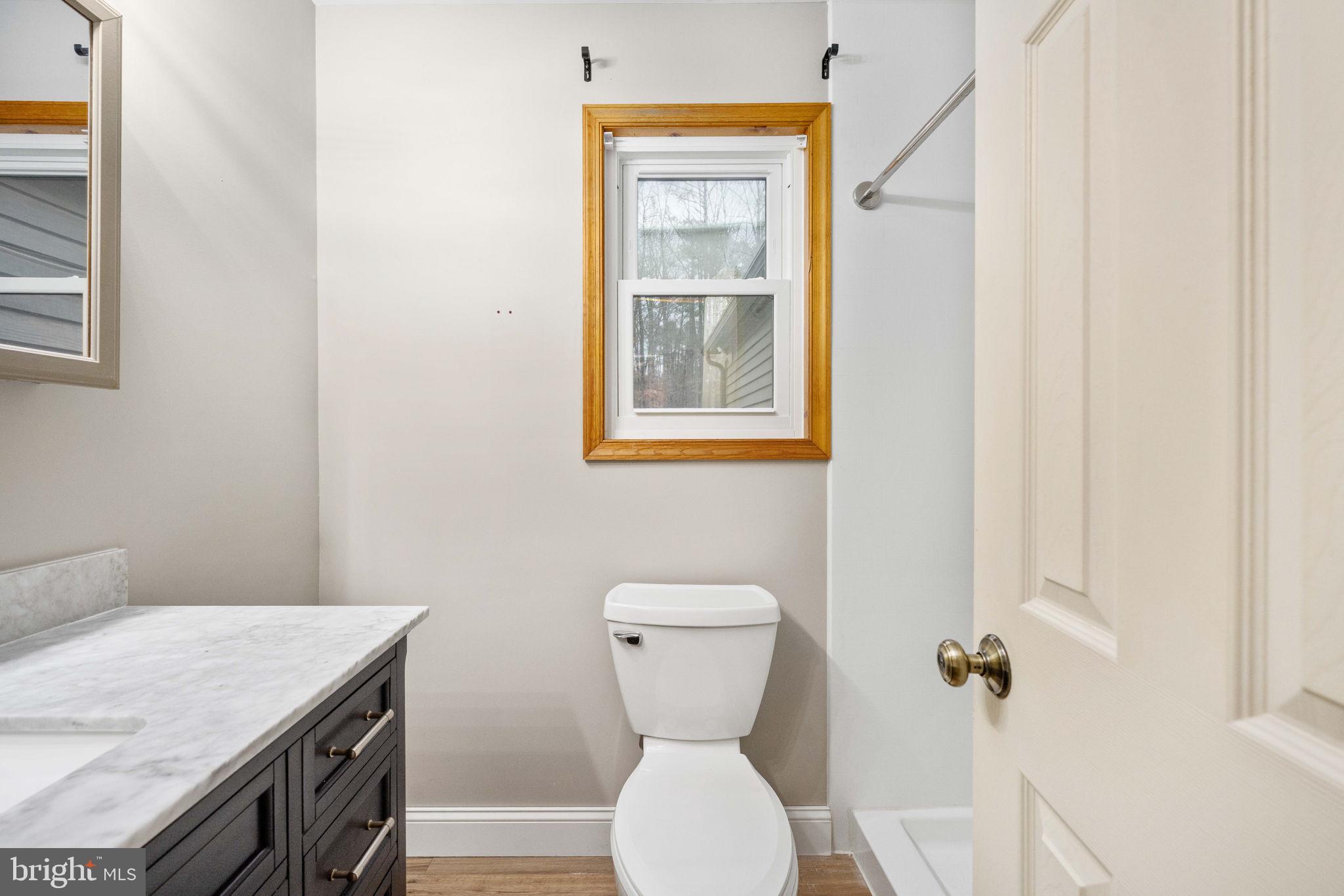 10706 Ropers Run Bumpass, VA 23024 - Photo 26 of 76 a bathroom with a toilet a sink and mirror