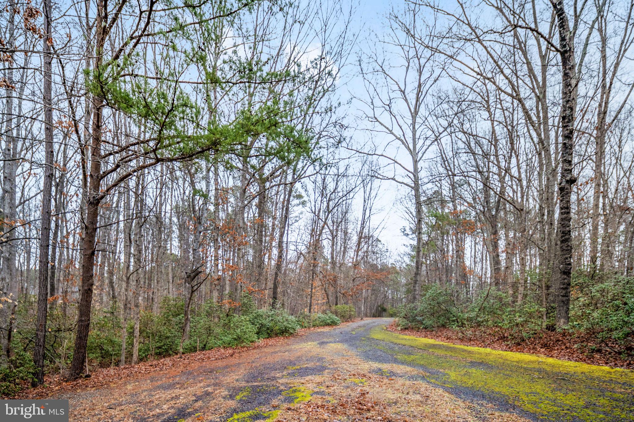 10706 Ropers Run Bumpass, VA 23024 - Photo 73 of 93