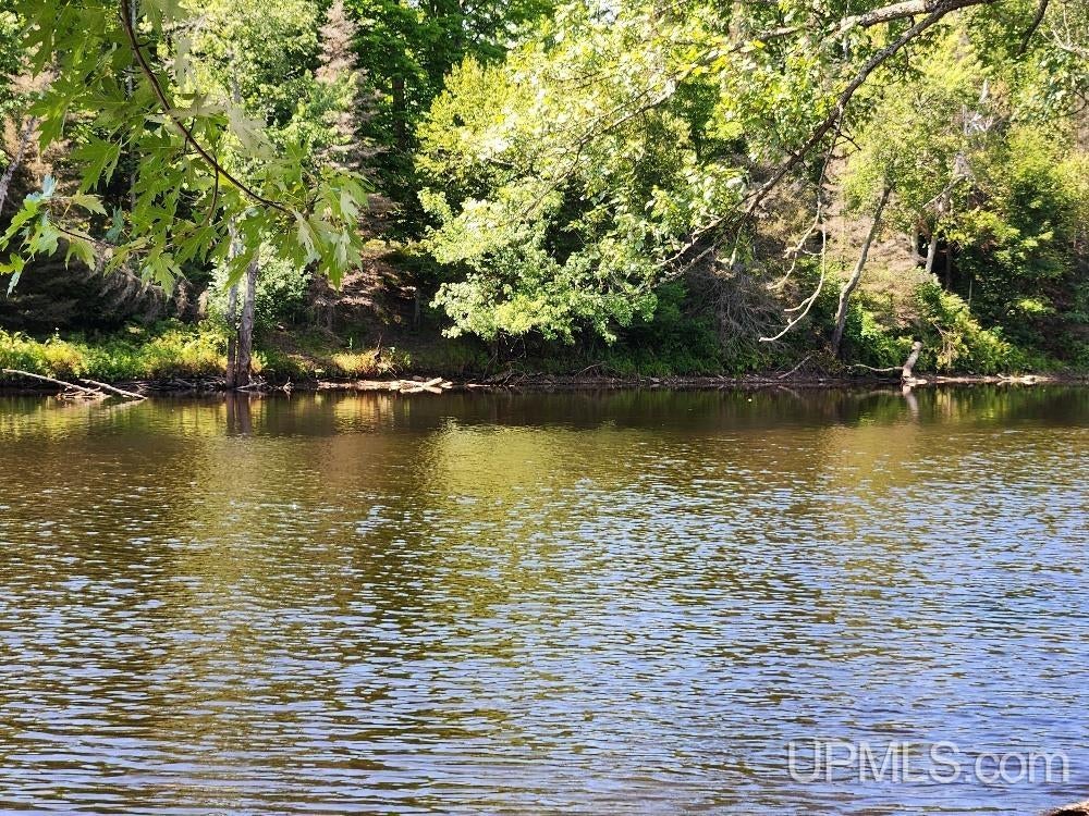 2.63-acres Sheltrow Road, Unit LOT 6PAINT RIVER HIGHLAN Crystal Falls, MI 49920 - Photo 4 of 53 Gallery Image 4
