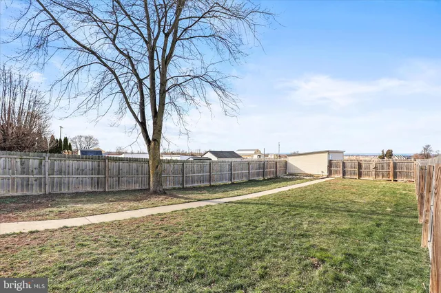 a view of a backyard with a large tree