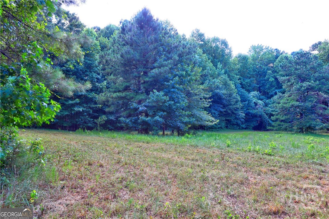 0 New Hope Church Road Cuthbert, GA 39840 - Photo 10 of 20