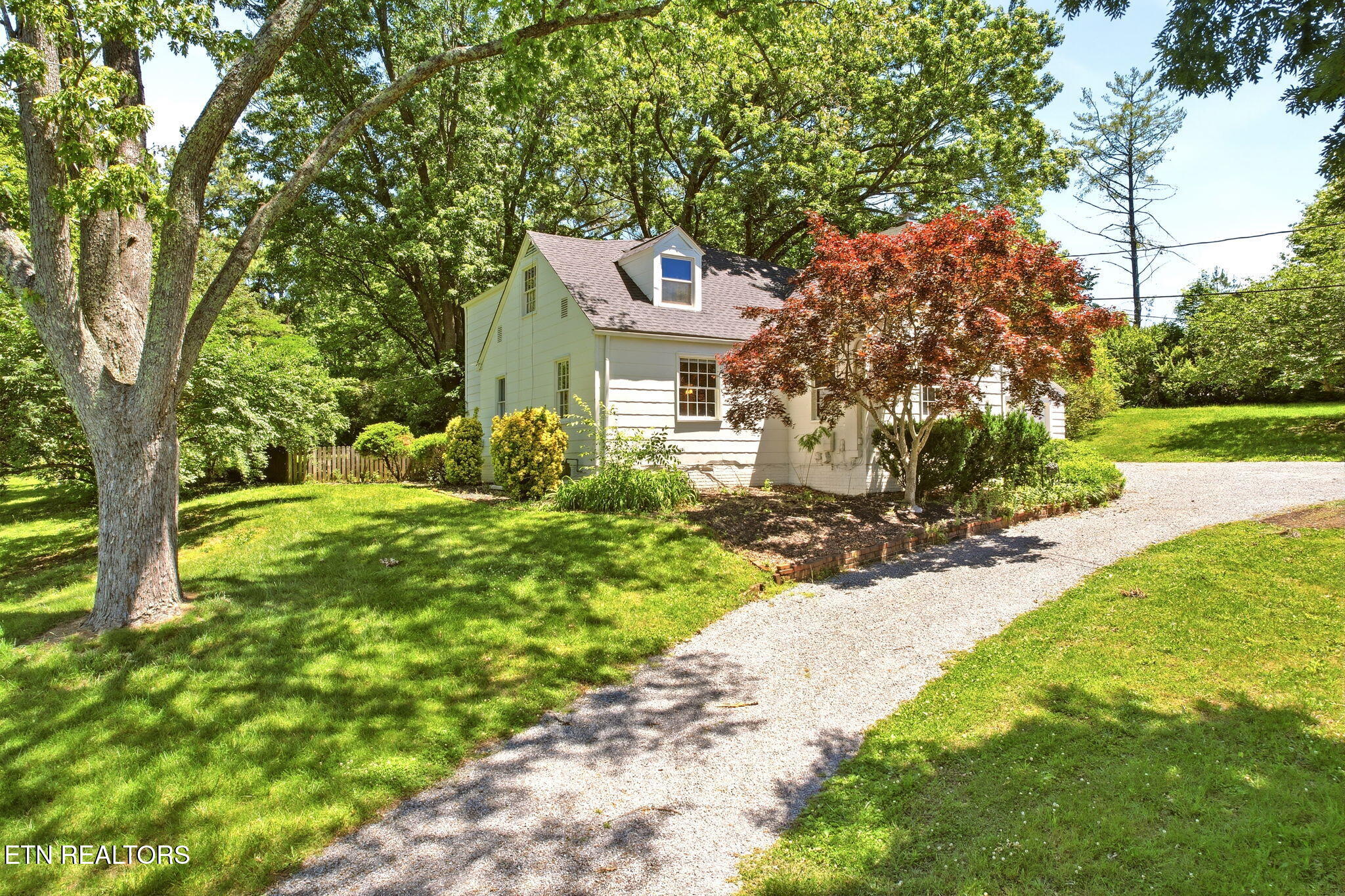5220 Haynes-Sterchi Road Knoxville, TN 37912 - Photo 4 of 54 An Arborist's Dream Home