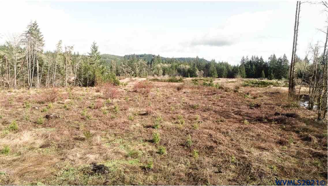 Gooseneck (parcel 289476) Road Sheridan, OR 97378 - Photo 10 of 23