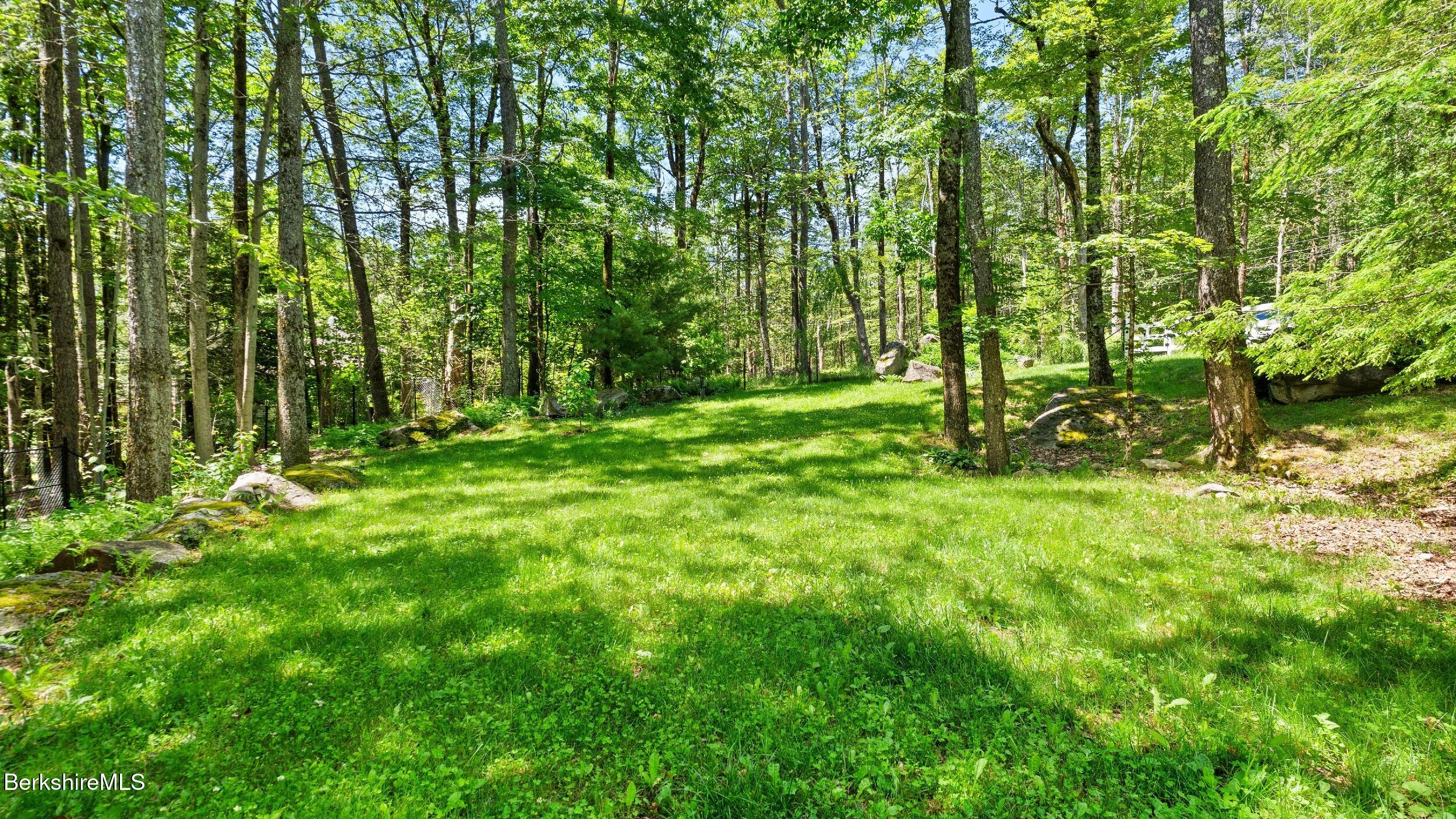 485 Ed Jones Road Otis, MA 01253 - Photo 33 of 36 Side Yard