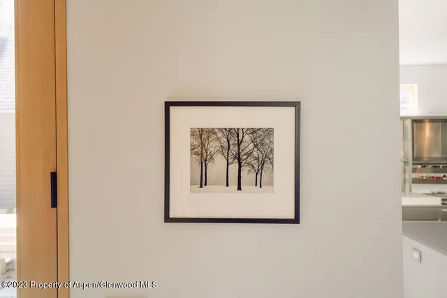 $6,000 | 1006 East Cooper Avenue, Aspen, CO 81611