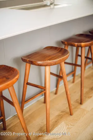 $5,000 | 1006 East Cooper Avenue, Aspen, CO 81611