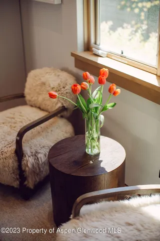 $6,000 | 1006 East Cooper Avenue, Aspen, CO 81611