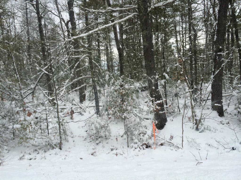 1035 Tatnic Road Wells, ME 04090 - Photo 1 of 1 Photo