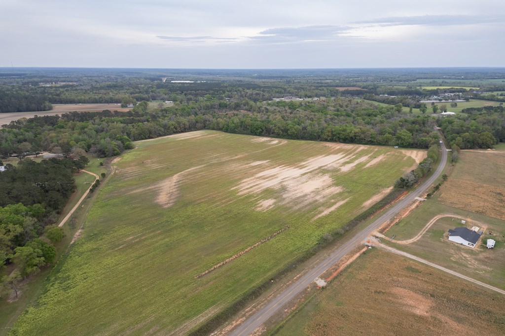 3-acres Singletary Road Slocomb, AL 36375 - Photo 2 of 15