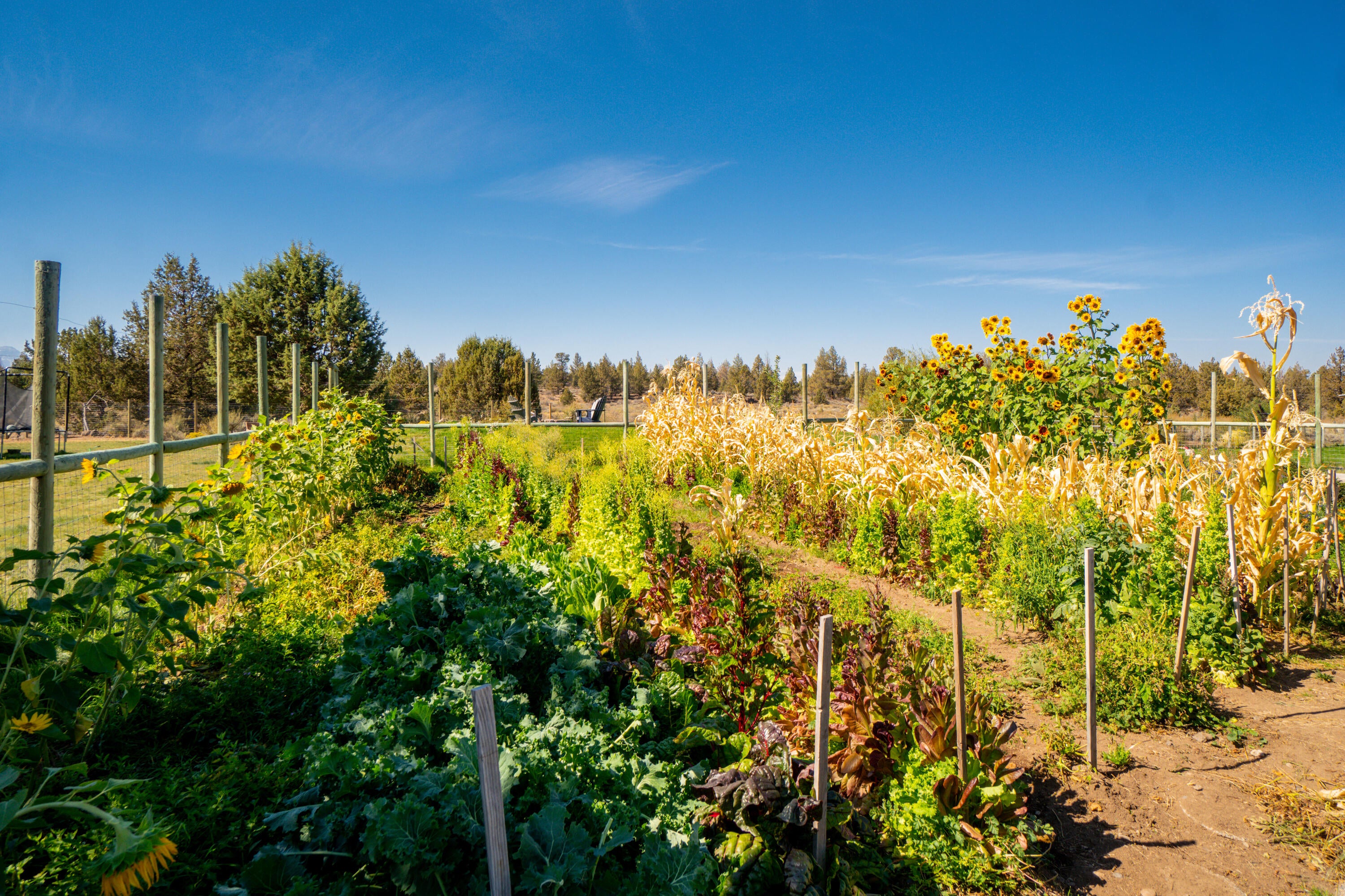 67395 Fryrear Road Bend, OR 97703 - Photo 8 of 71 8. Garden