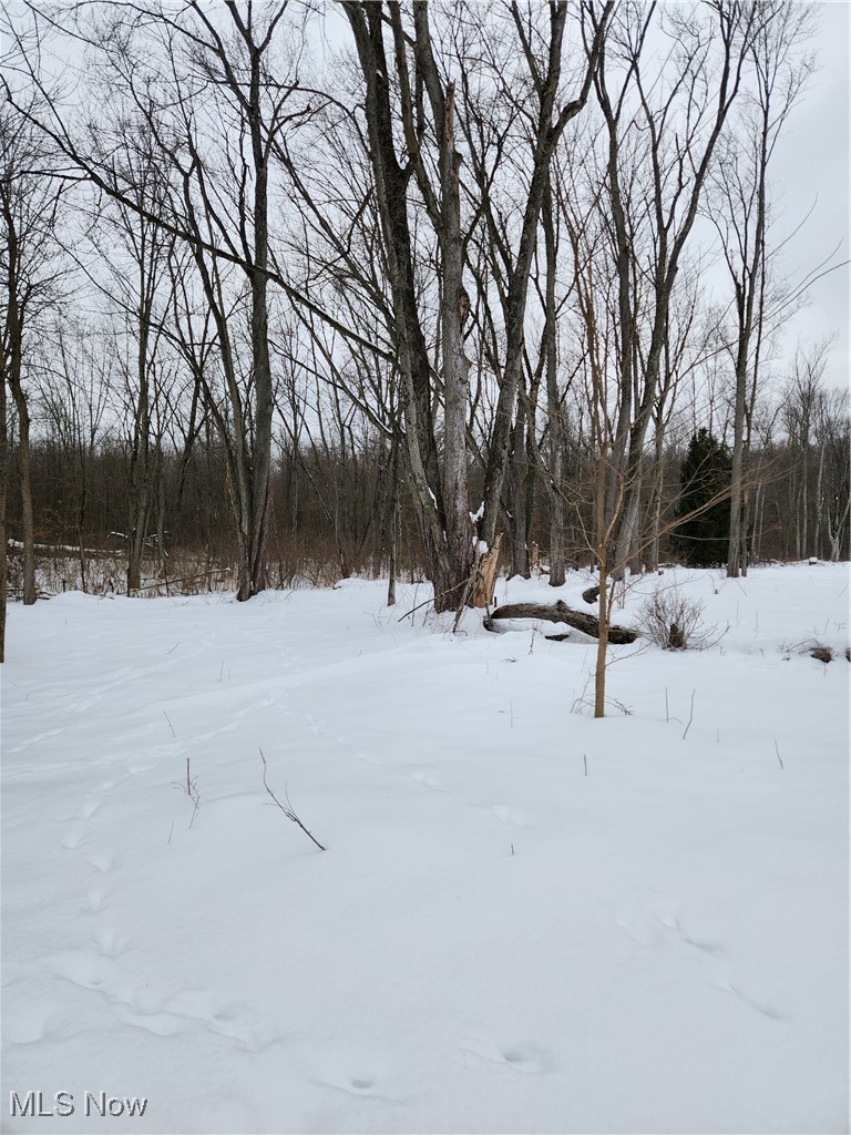 Royalton Road Columbia Station, OH 44028 - Photo 4 of 13 View of yard layered in snow