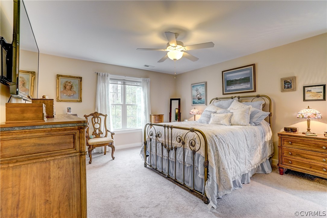 209 Pine Ridge Road Aylett, VA 23009 - Photo 19 of 36 Gallery Image 19