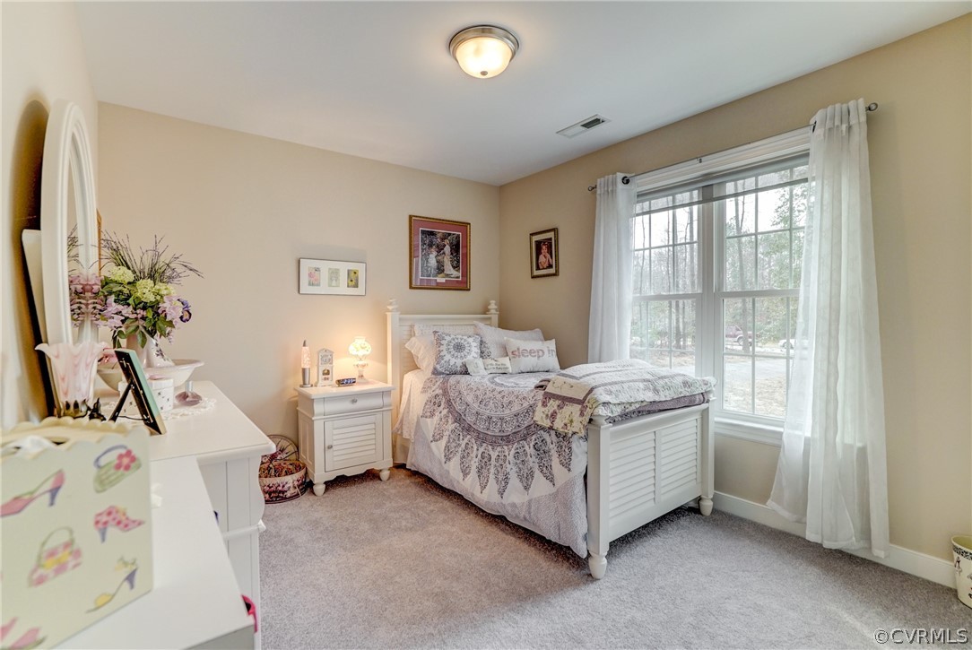 209 Pine Ridge Road Aylett, VA 23009 - Photo 21 of 36 Gallery Image 21