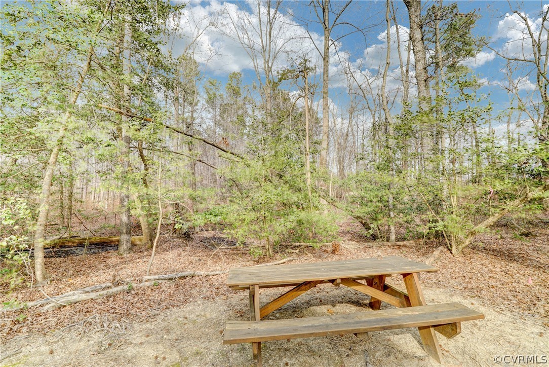 209 Pine Ridge Road Aylett, VA 23009 - Photo 30 of 36 Gallery Image 30