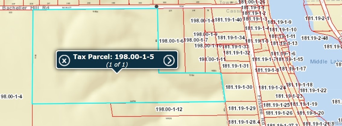 Bachellor Hill Road Road Cassadaga, NY 14718 - Photo 1 of 3 Parcel Bachellor Hill Rd