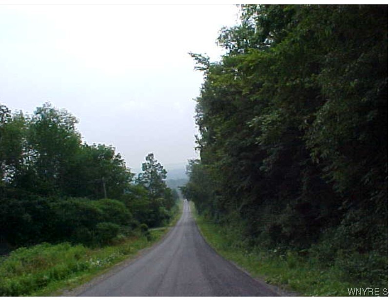 Bachellor Hill Road Road Cassadaga, NY 14718 - Photo 3 of 3 Bachellor Hill Rd.
North of Stockton