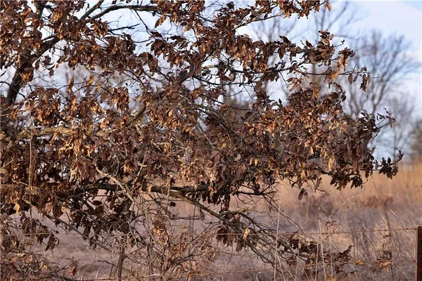 $185,112 | East 220th Lane Lane, Bethany, MO 64424