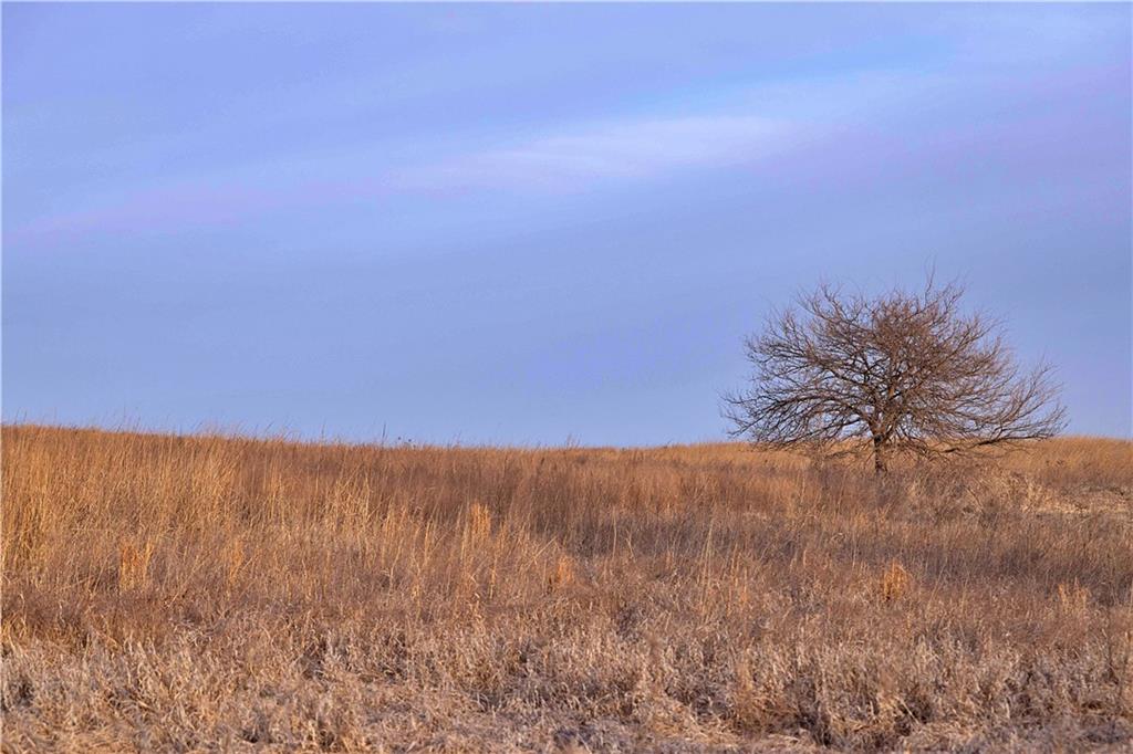 East 220th Lane Lane Bethany, MO 64424 - Photo 14 of 28