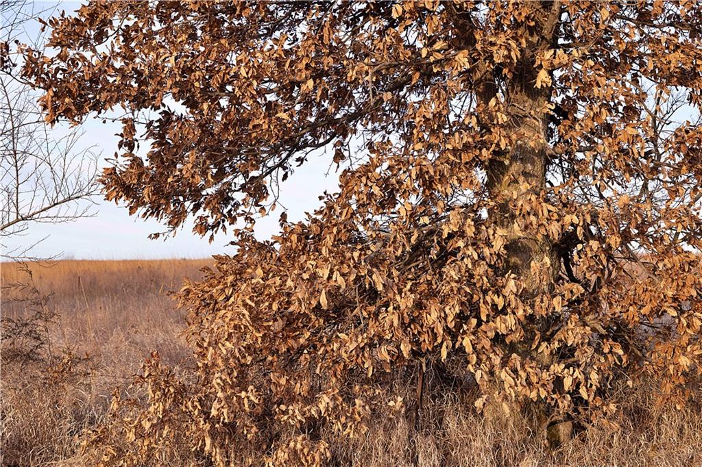 East 220th Lane Lane Bethany, MO 64424 - Photo 16 of 28