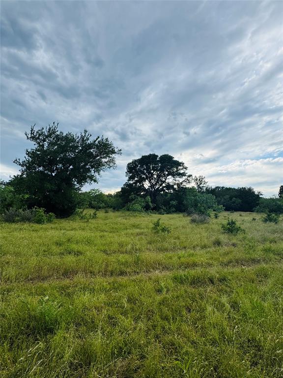 0 Legends Drive Ranger, TX 76470 - Photo 5 of 5 a view of a green field