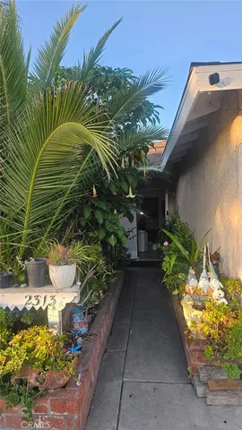 a view of a backyard with plants