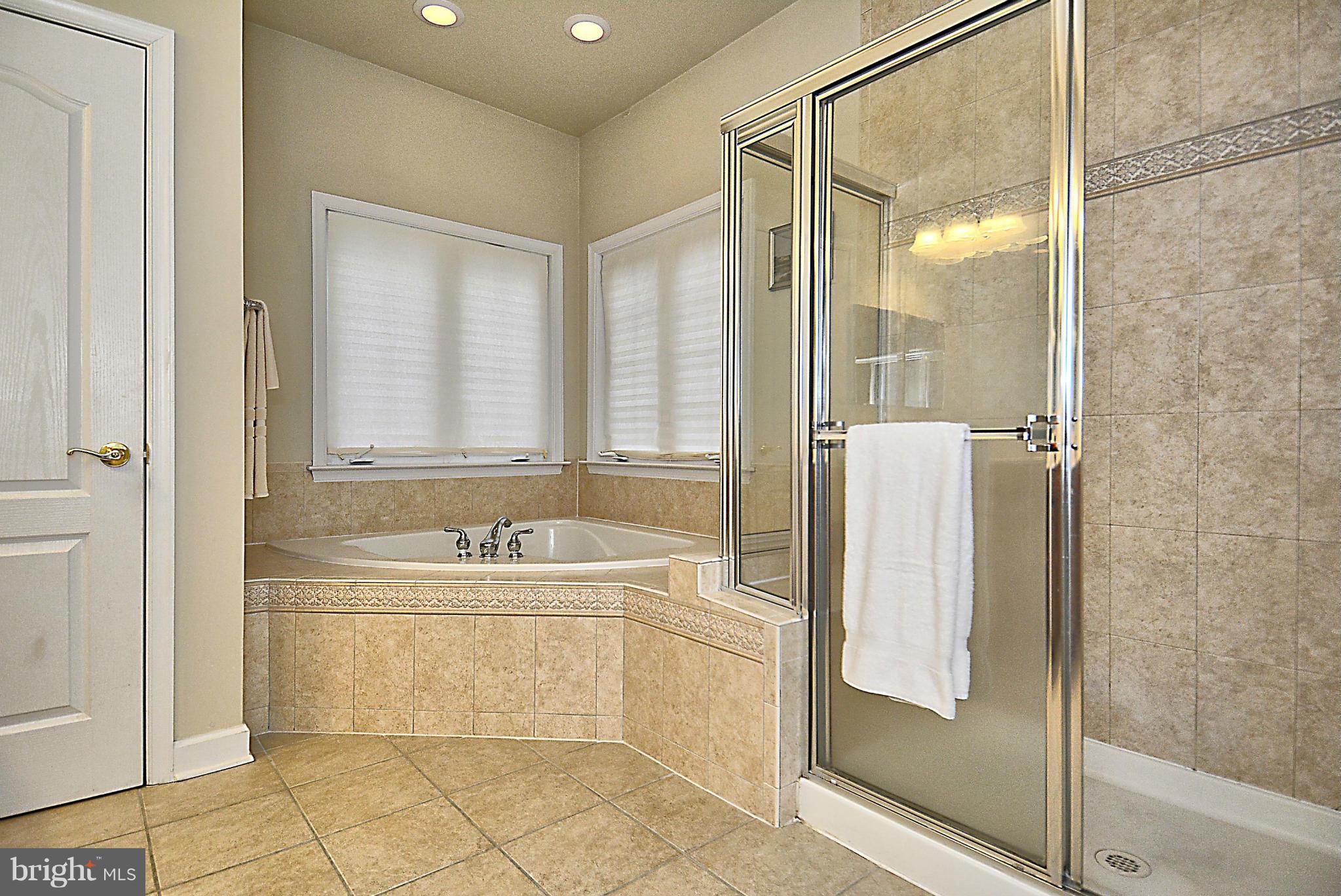 198 Hidden Forest Court Gaithersburg, MD 20877 - Photo 18 of 30 Bath (Master)