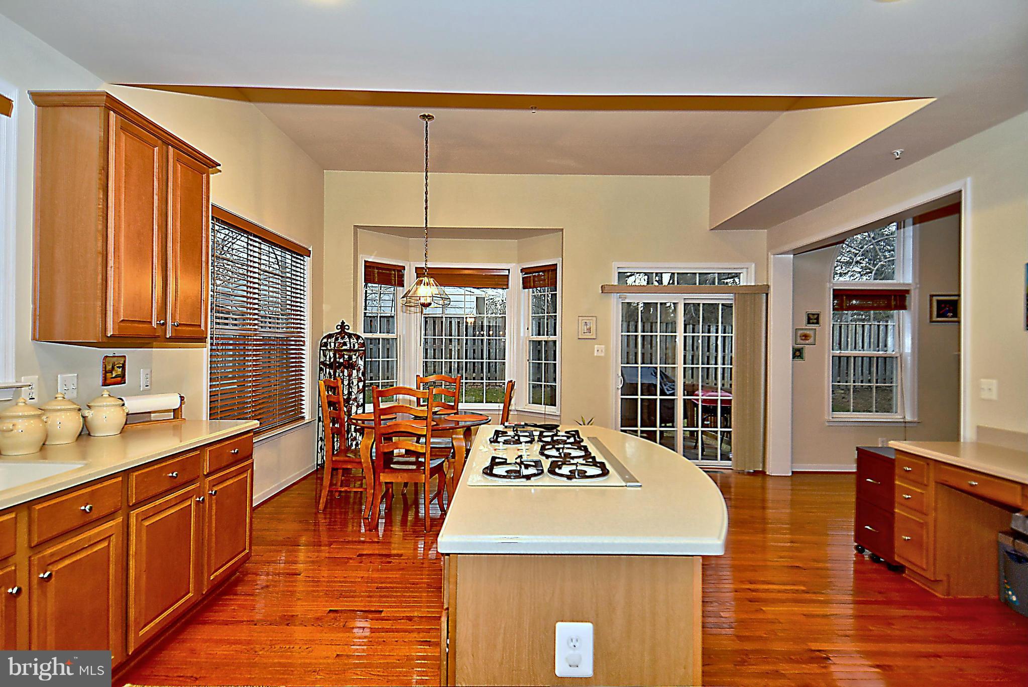 198 Hidden Forest Court Gaithersburg, MD 20877 - Photo 4 of 30 Kitchen