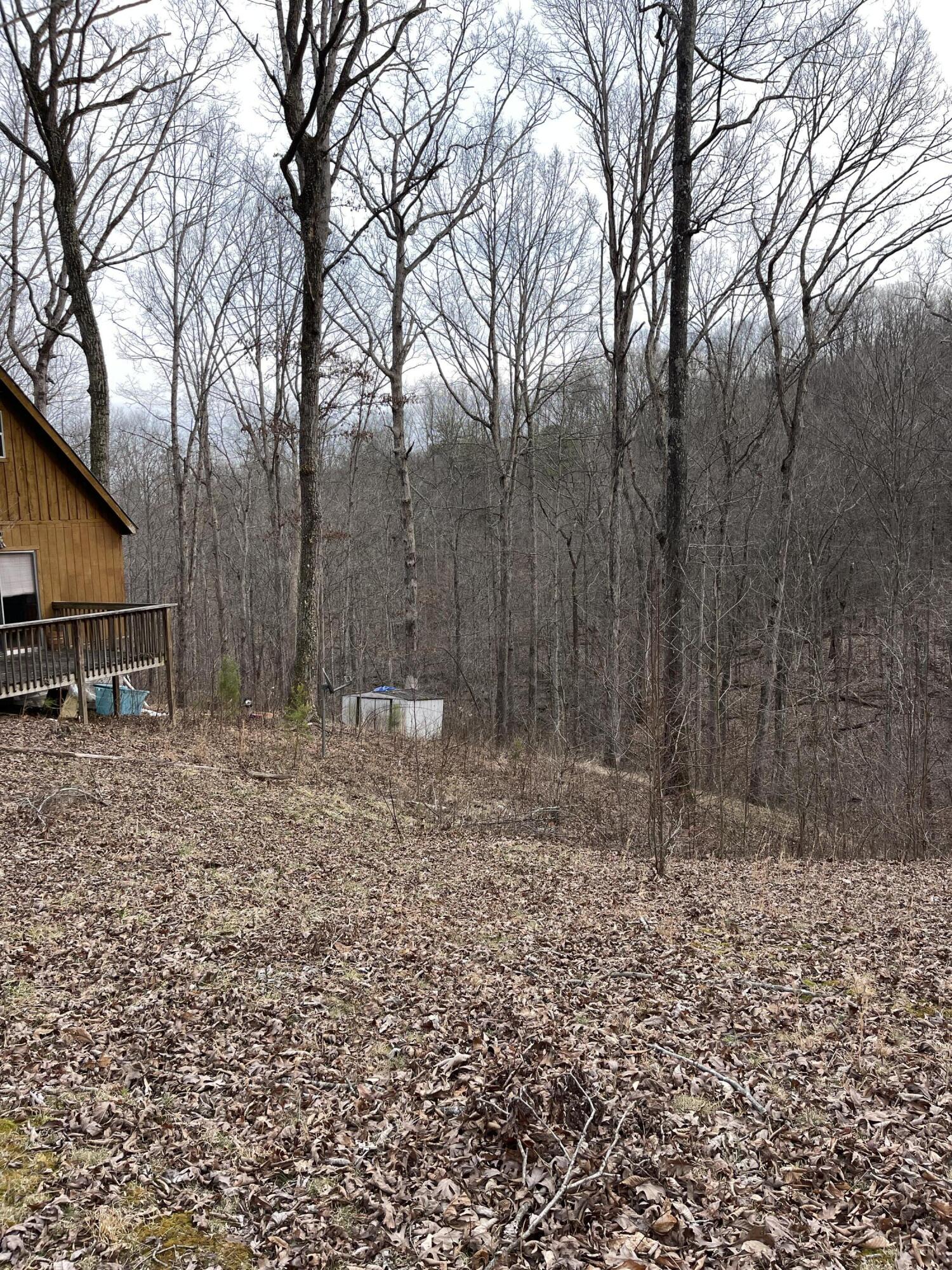 91 Pipeline Road Frenchburg, KY 40322 - Photo 31 of 40 IMG_0457