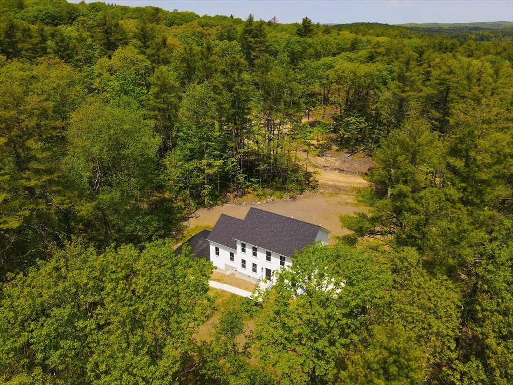 43 Old Colony Road Princeton, MA 01541 - Photo 23 of 23 a view of a big yard with large trees