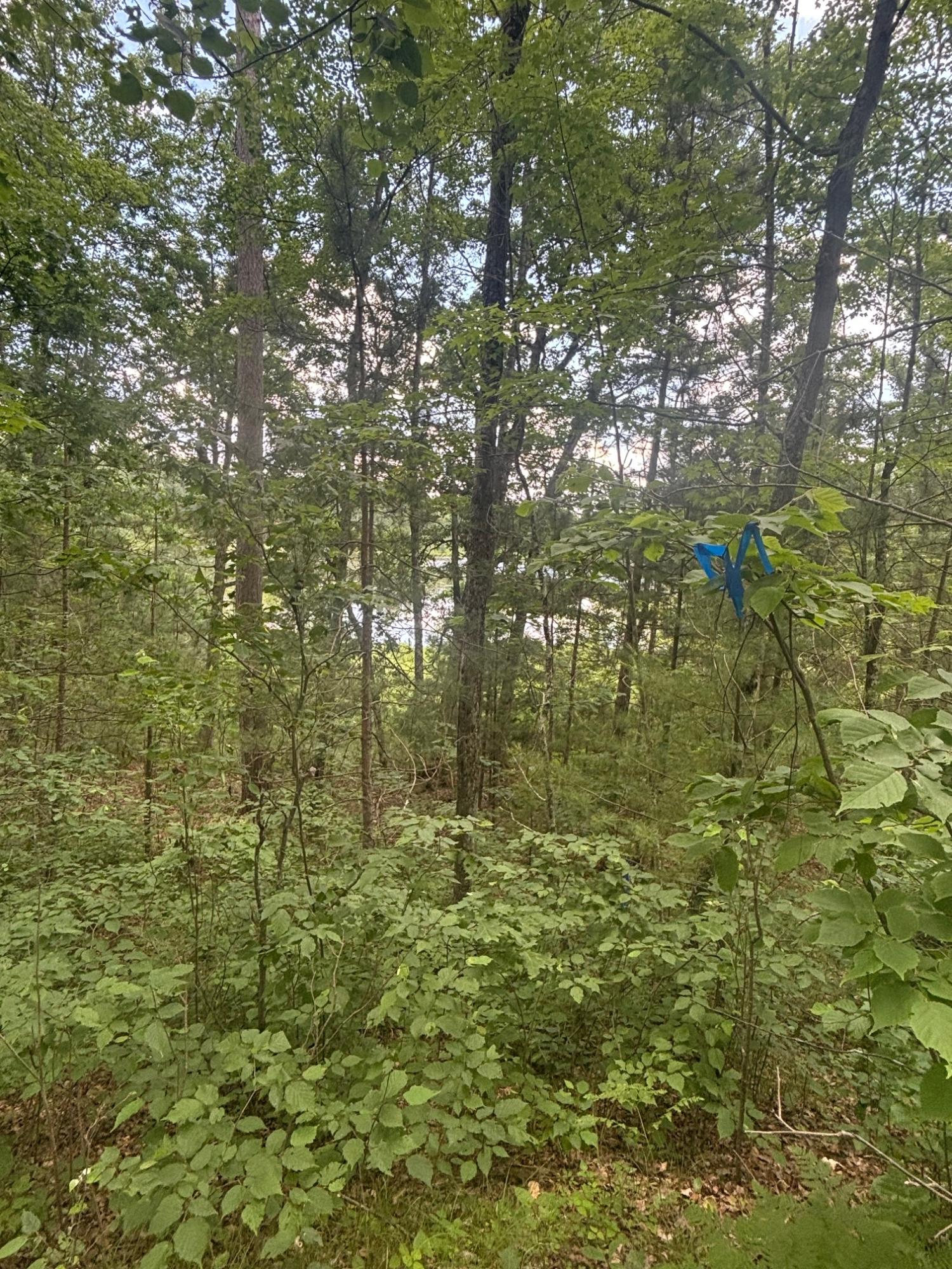 Off Bennet Road Amberg, WI 54102 - Photo 13 of 19 Gallery Image 13