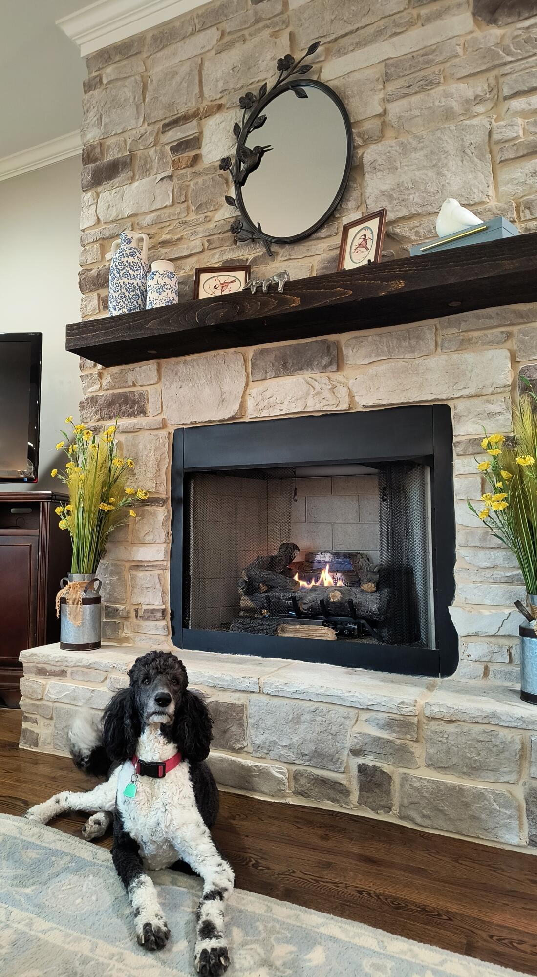 9205 Scarlet Ridge Road Ooltewah, TN 37363 - Photo 14 of 92 Katie !