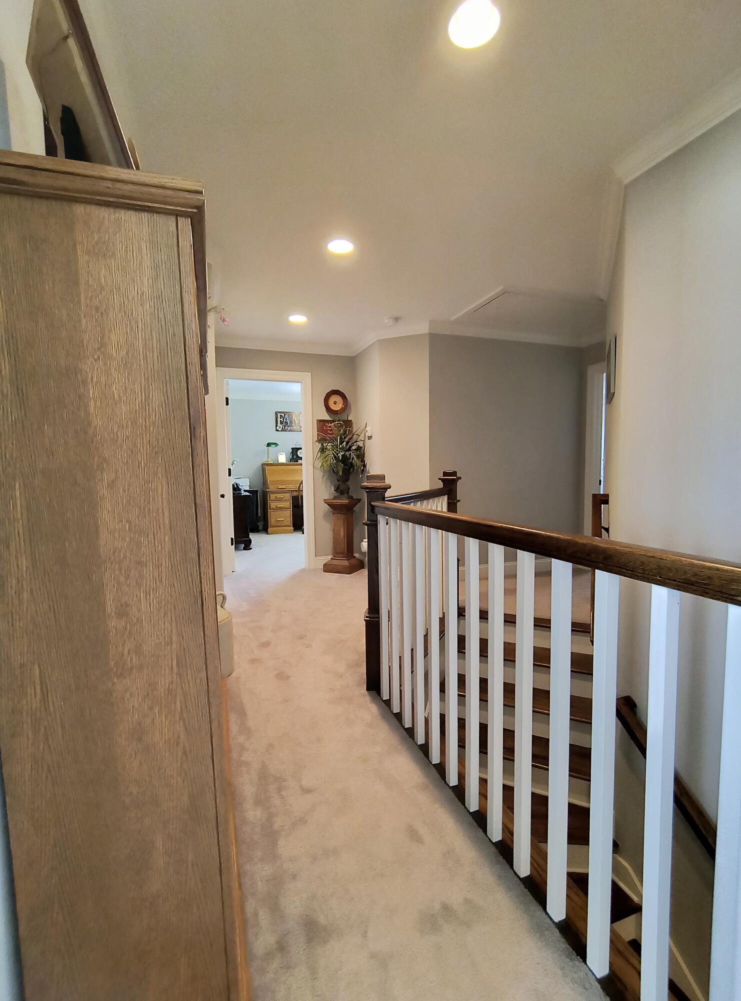 9205 Scarlet Ridge Road Ooltewah, TN 37363 - Photo 50 of 92 what's down there?