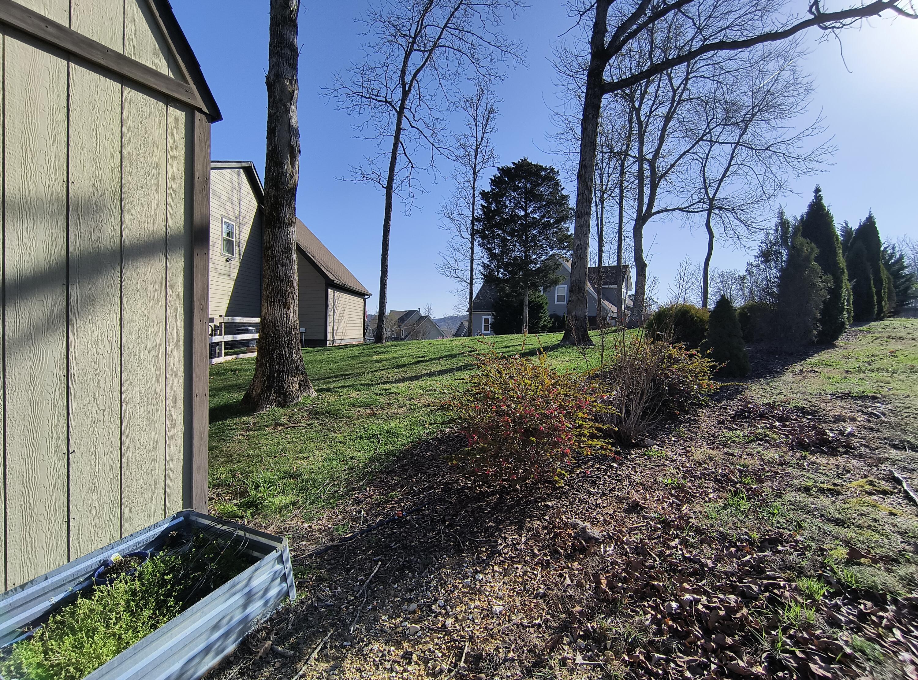 9205 Scarlet Ridge Road Ooltewah, TN 37363 - Photo 82 of 92 side property tree-line