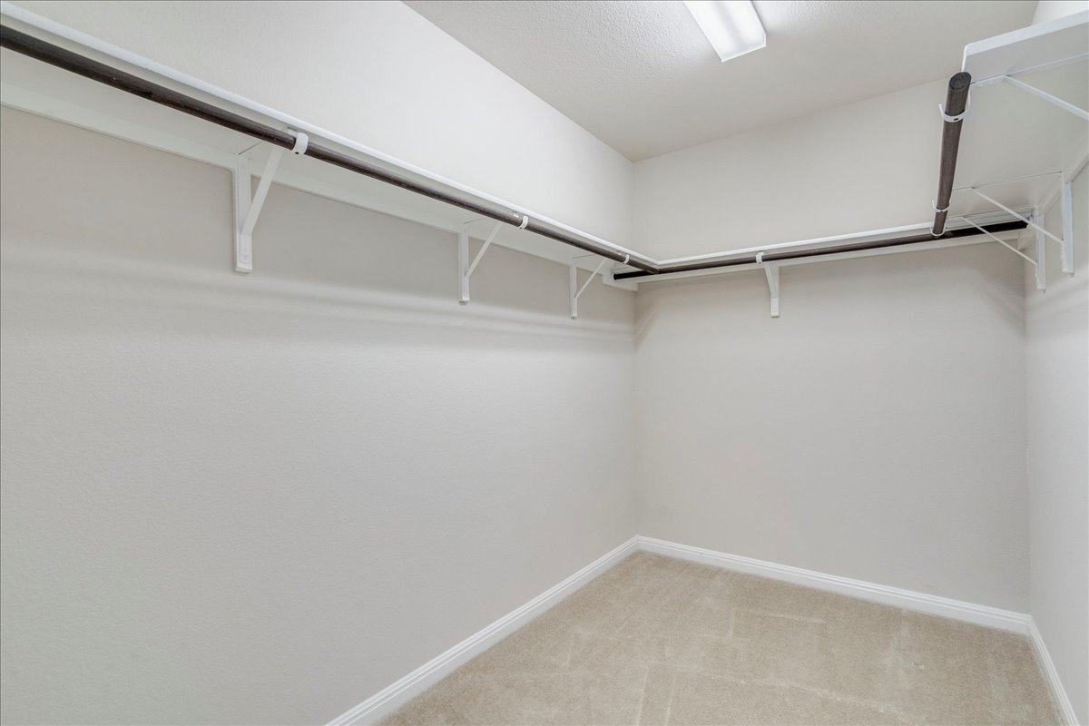 161 Mistflower Lane Kyle, TX 78640 - Photo 20 of 37 Walk in closet with light carpet