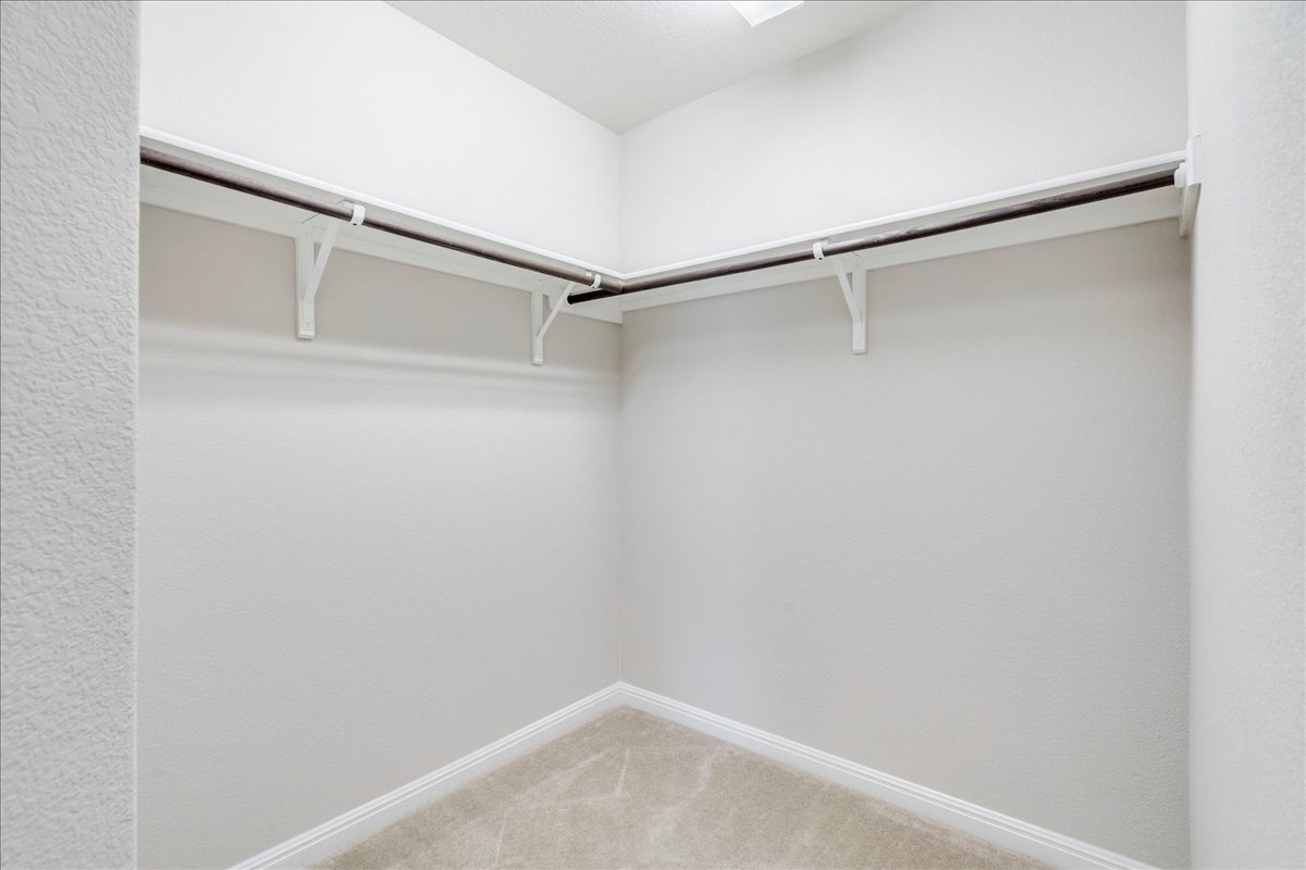 161 Mistflower Lane Kyle, TX 78640 - Photo 21 of 37 Walk in closet featuring light colored carpet