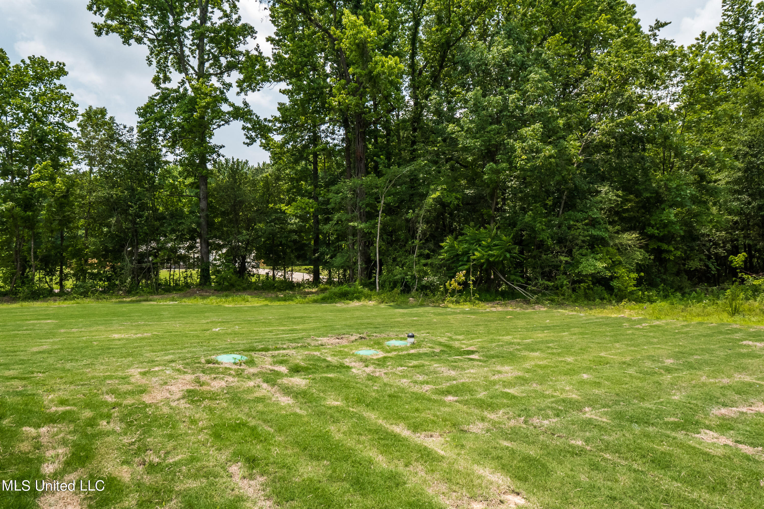 Lot 6 Centerline Roper Loop Byhalia, MS 38611 - Photo 42 of 44 046-13 Centerline Roper-MLS Version