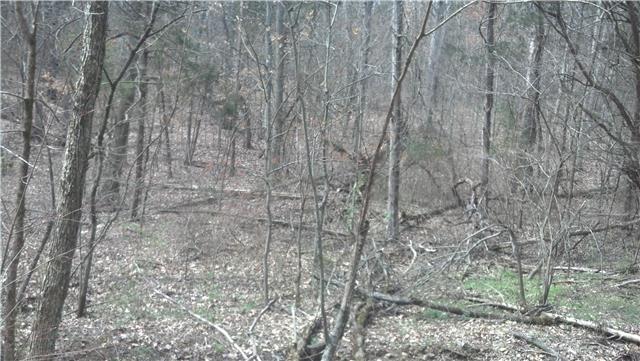 501 A Hickory Ridge Road Gallatin, TN 37066 - Photo 5 of 6