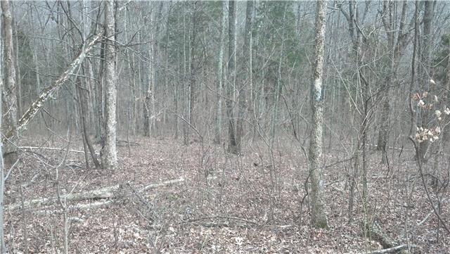 501 A Hickory Ridge Road Gallatin, TN 37066 - Photo 6 of 6