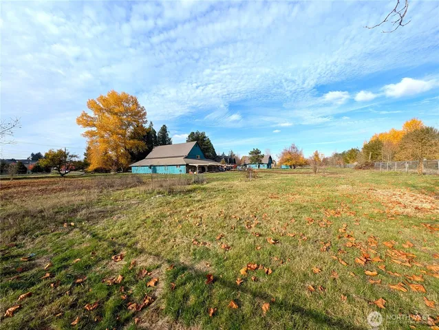 a view of a house with a yard and large tree