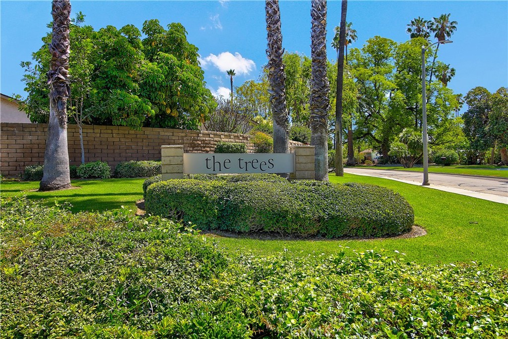 6618 Wintertree Drive Riverside, CA 92506 - Photo 1 of 37 a view of a garden with a fountain