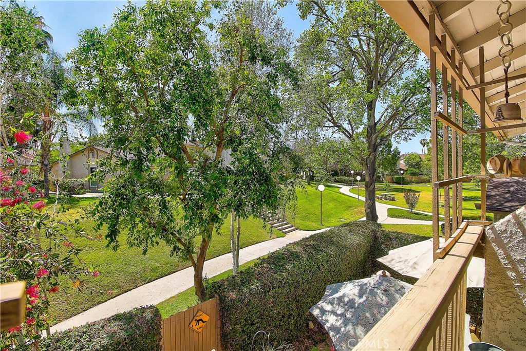 6618 Wintertree Drive Riverside, CA 92506 - Photo 22 of 37 a view of a garden with plants