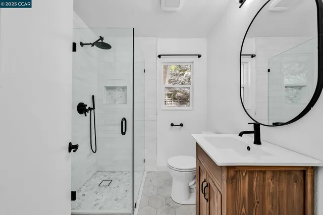 a view of a yard with plants and large trees