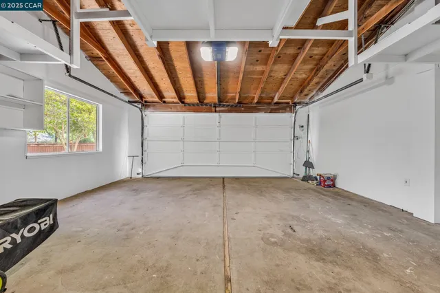 a view of a yard with plants and large trees